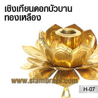 เชิงเทียนดอกบัวบานทองเหลือง